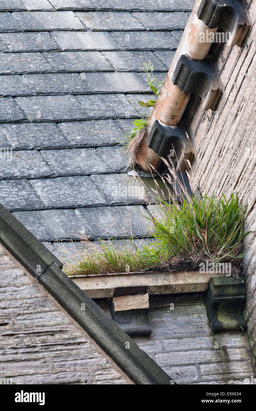 Blocked gutters and downpipes in an abandoned Victorian building, UK Stock Photo