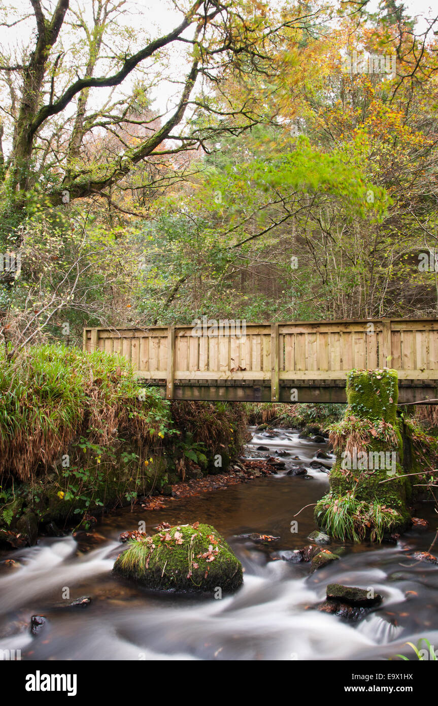 Wooden Bridge over Stream in Autumn Woods Stock Photo - Alamy