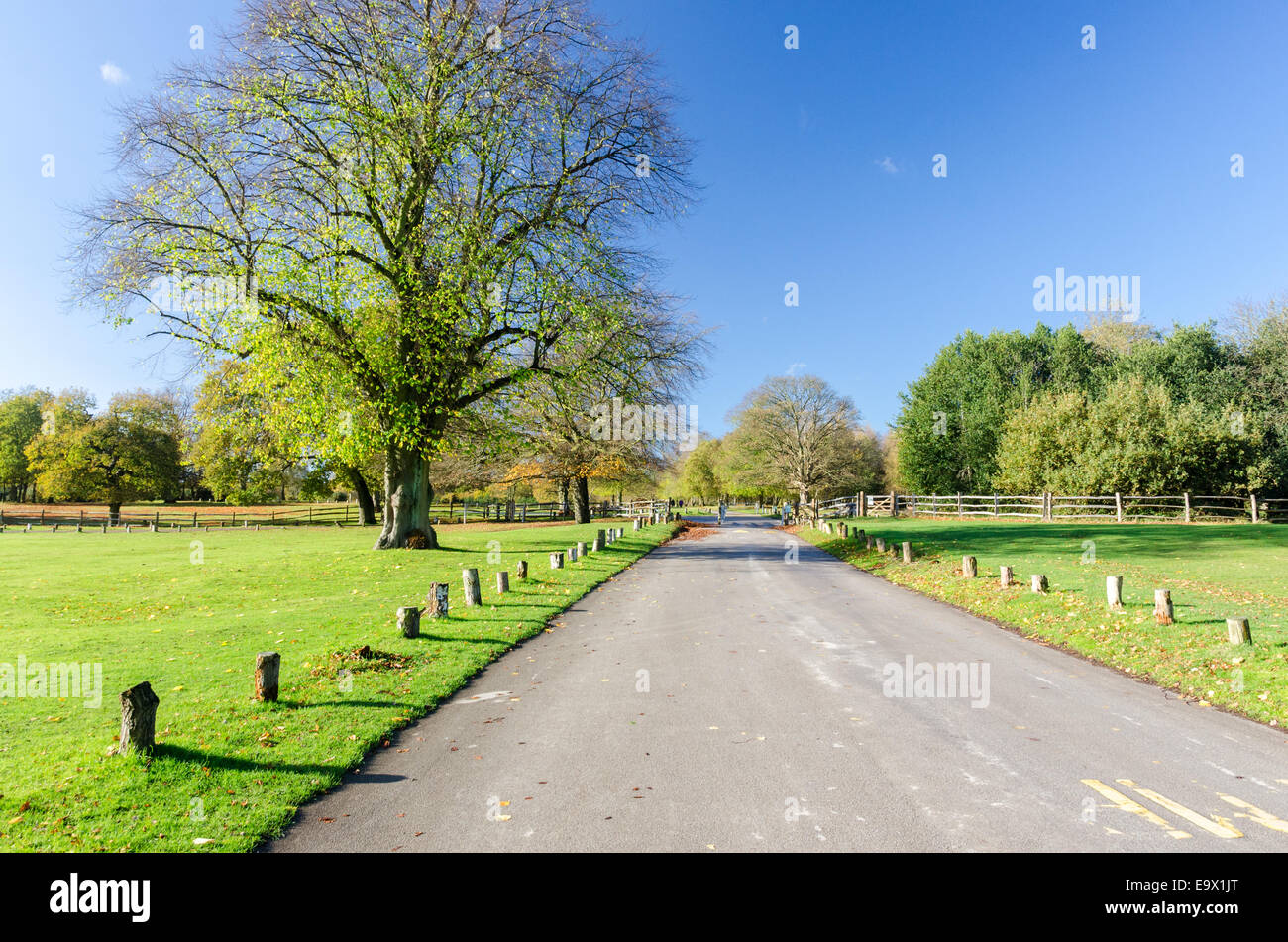 Sutton park birmingham hi-res stock photography and images - Alamy