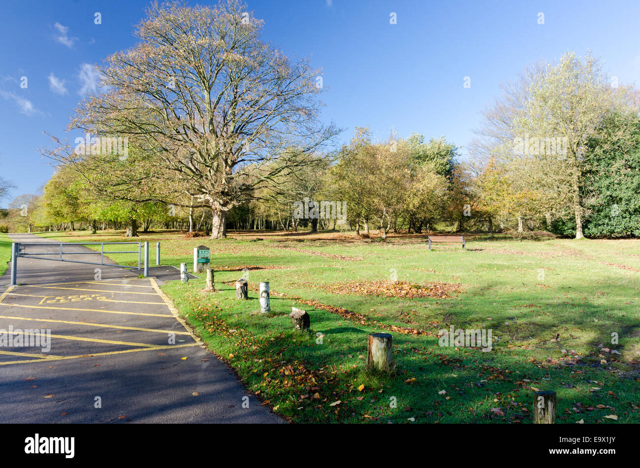 Sutton park birmingham hi-res stock photography and images - Alamy