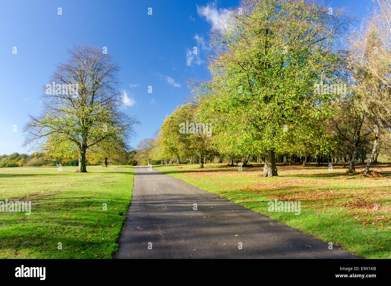 Sutton park birmingham hi-res stock photography and images - Alamy