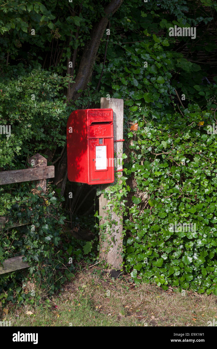 Traditional red post box attached to wooden post amongst green hedge Stock Photo