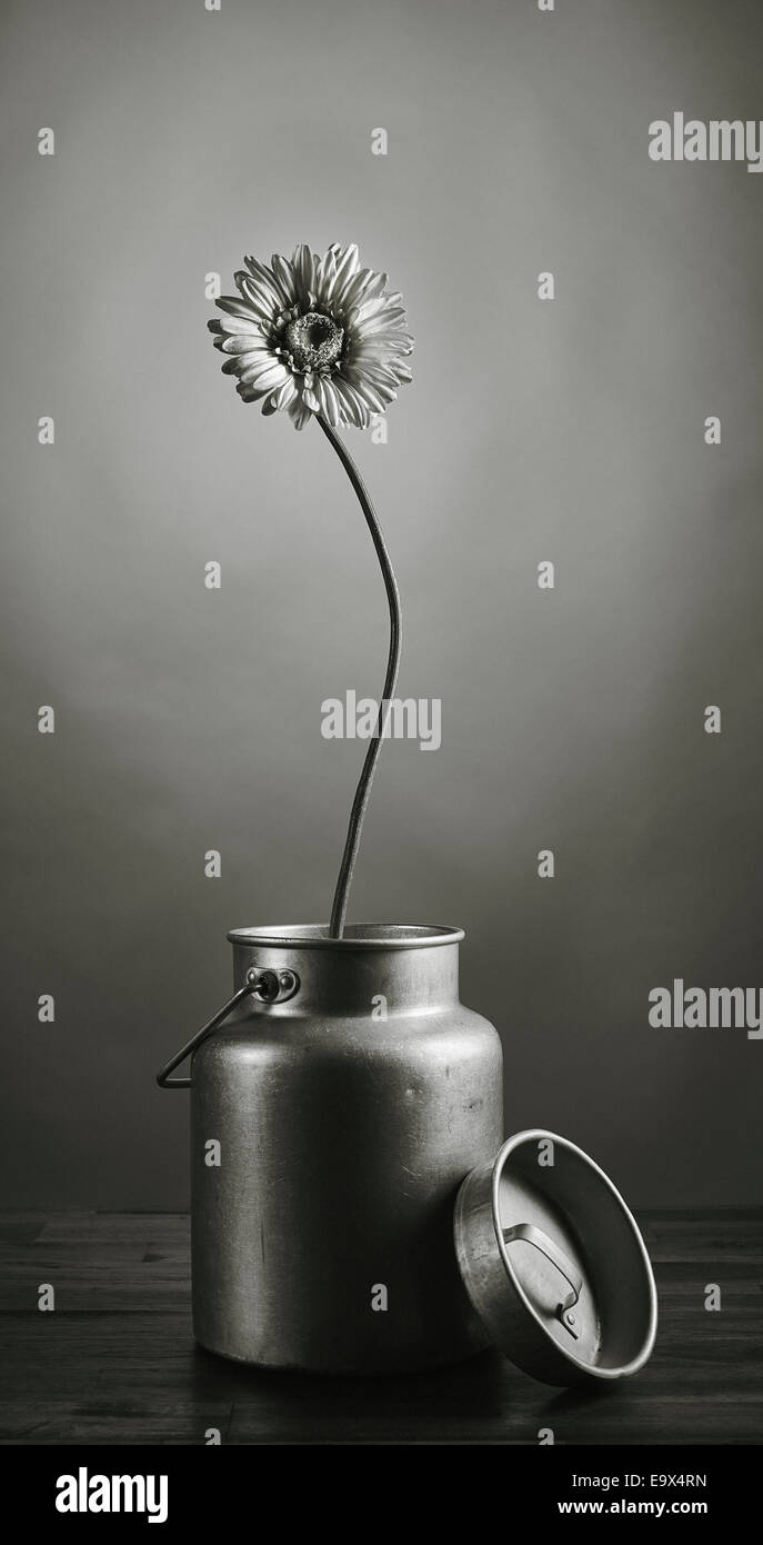 The growth of the power, flower growing upward - artificial flower inside the can, tinted black and white image Stock Photo
