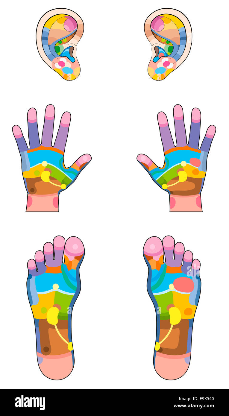 Reflexology zones - ears, hands and feet colored with the corresponding internal organs and body parts. Stock Photo