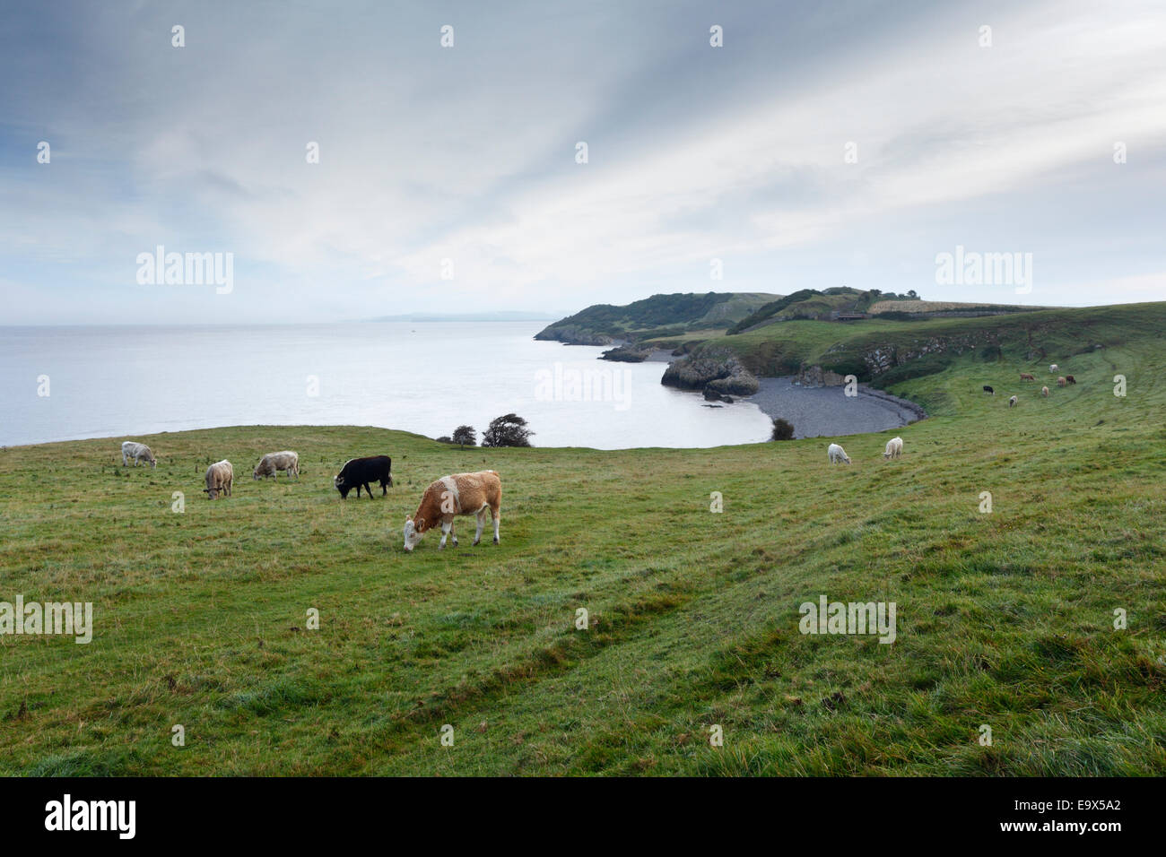 Middle Hope. Somerset. England. UK. Stock Photo