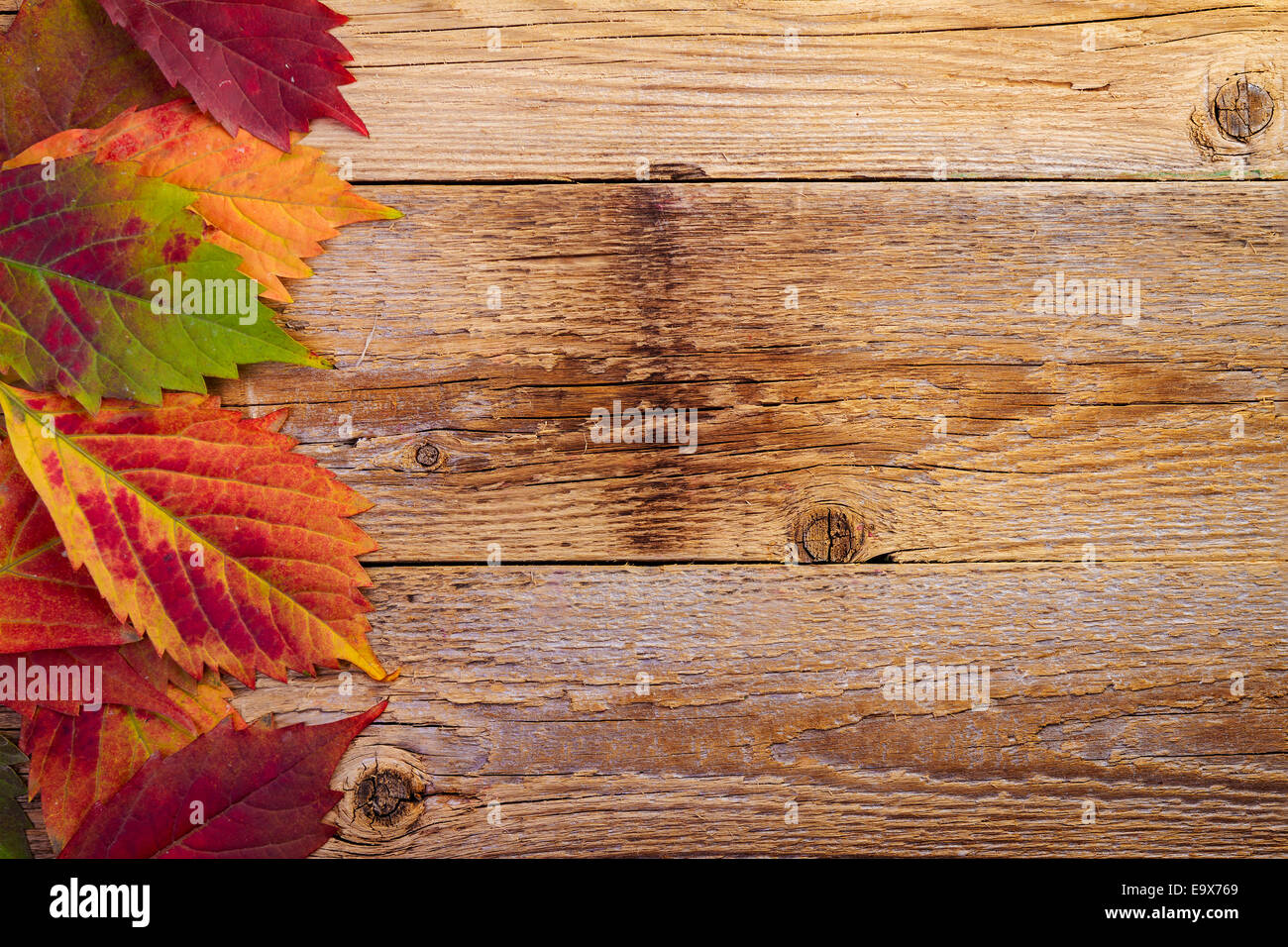 Rustic Maple Background Maple wood texture hi-res stock photography and images - Alamy