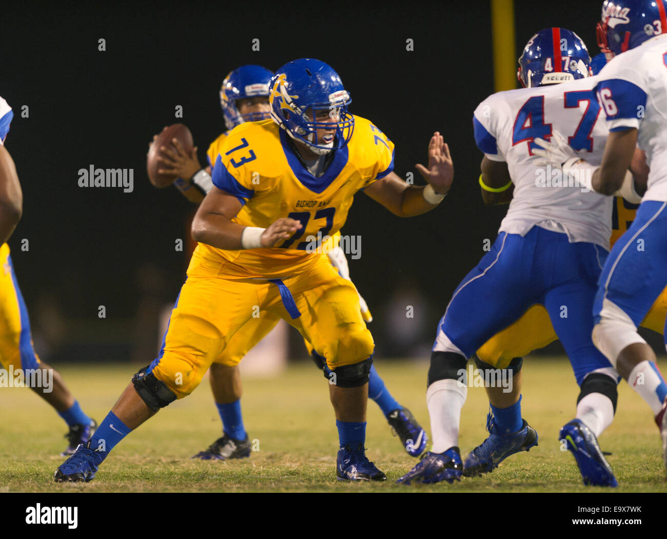 October 4, 2014, La Puente, CA.Bishop Amat lancers offensive line (73) Justin Ortiz in action during the Bishop Amat upset of the Cavaliers at Bishop Amat high school on October 3, 2014. The Cavaliers who are usually a nationally ranked high school football team, were upset by Bishop Amat 14 - 7. (Mandatory Credit: Ed Ruvalcaba/MarinMedia.org) (Complete photographer, and company credit required) Stock Photo