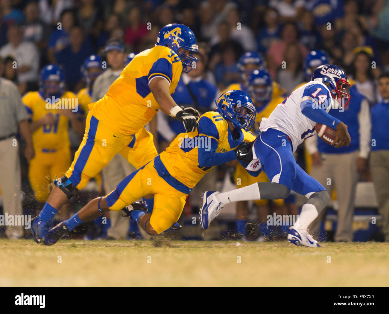 October 4, 2014, La Puente, CA.Bishop Amat lancers linebacker (11) Hugo Sanchez in action during the Bishop Amat upset of the Cavaliers at Bishop Amat high school on October 3, 2014. The Cavaliers who are usually a nationally ranked high school football team, were upset by Bishop Amat 14 - 7. (Mandatory Credit: Ed Ruvalcaba/MarinMedia.org) (Complete photographer, and company credit required) Stock Photo