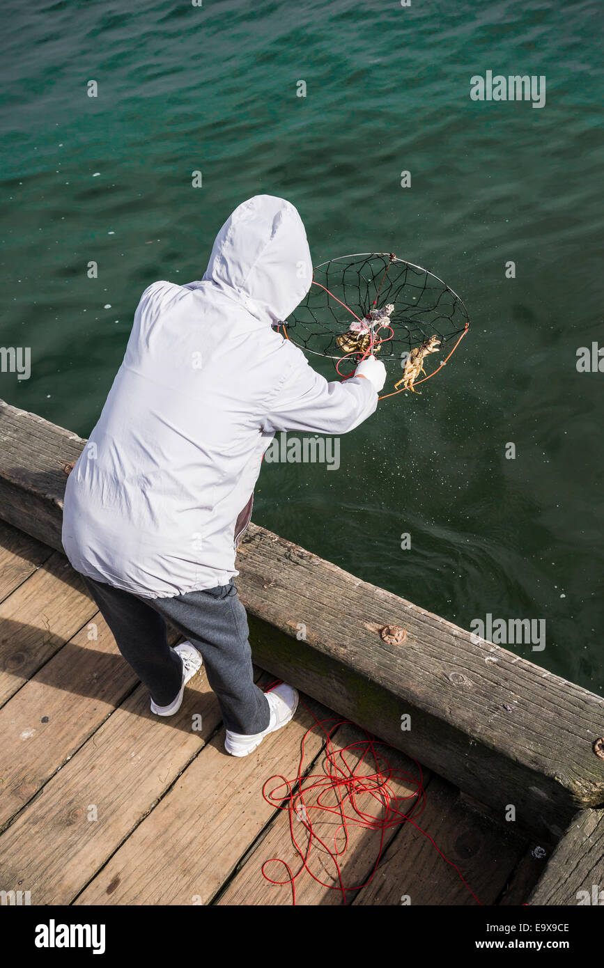 Crab trap hi-res stock photography and images - Alamy