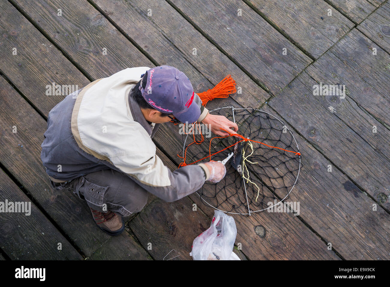 Man baiting crab trap. Stock Photo