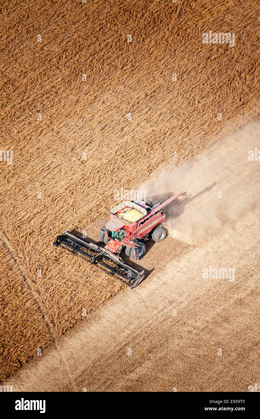 Aerial view of soybean harvest in Kent County; Rock Hall, Maryland
