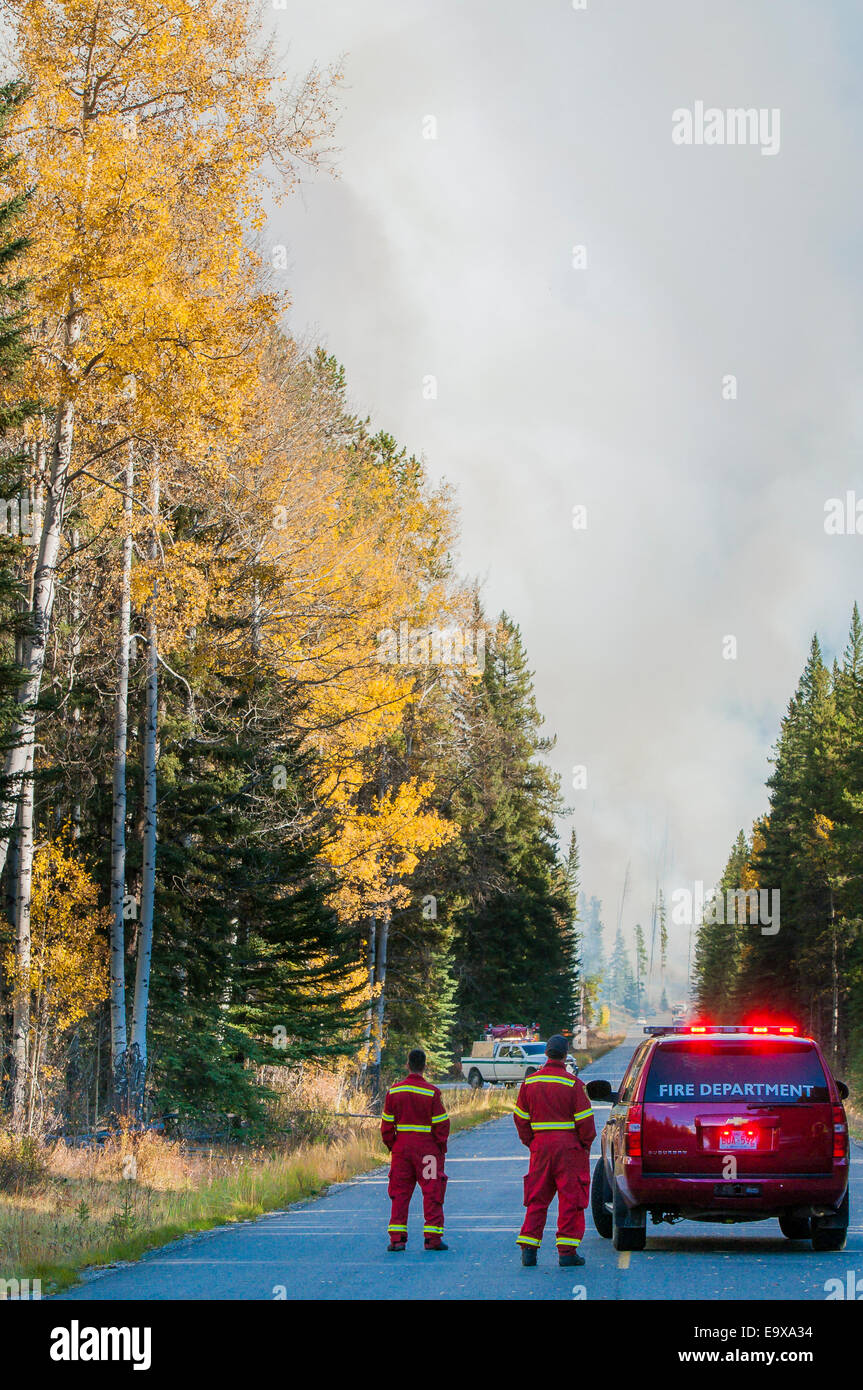 Firemen hold up traffic while a prescribed burn is in progress. The Bow Valley Parkway,  Banff National Park, Alberta, Canada Stock Photo