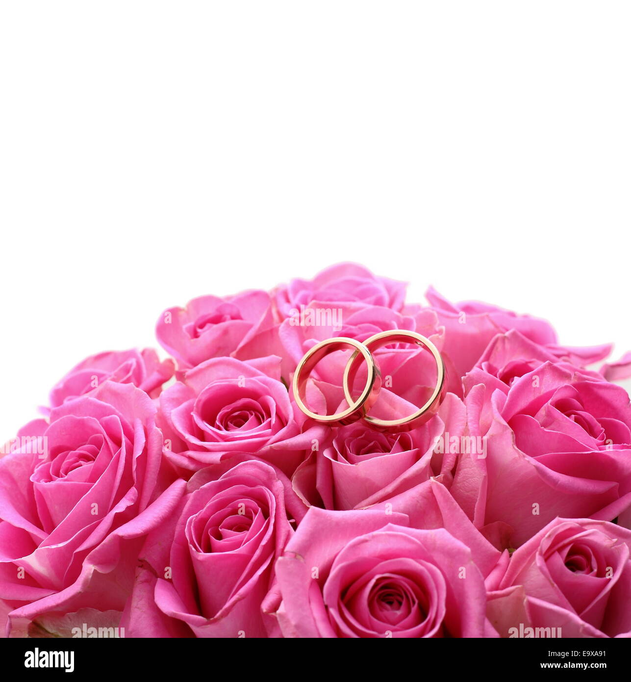 Set of wedding rings in pink rose taken close up, isolated Stock Photo