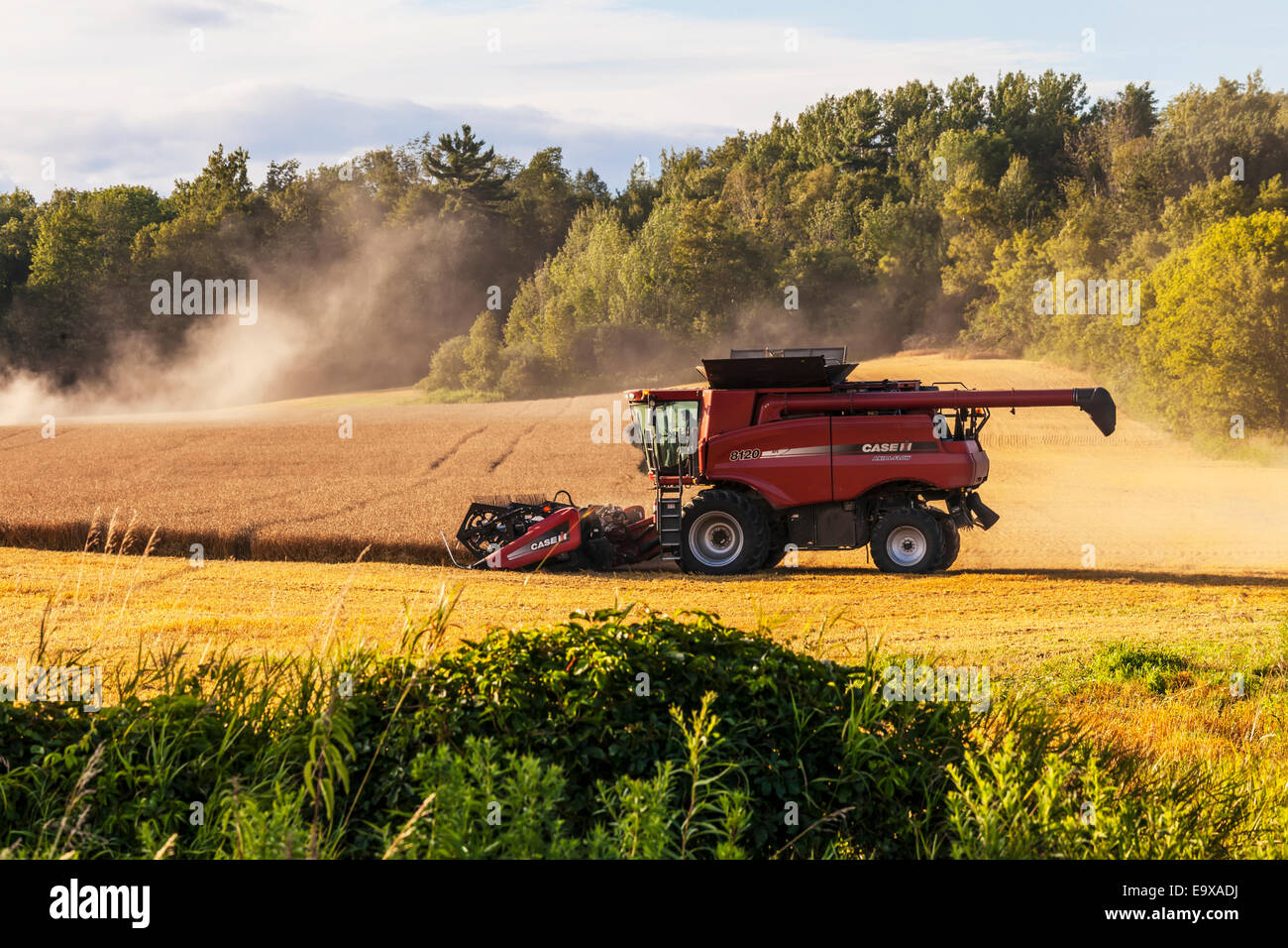 Case 8120 combine harvester hi-res stock photography and images - Alamy