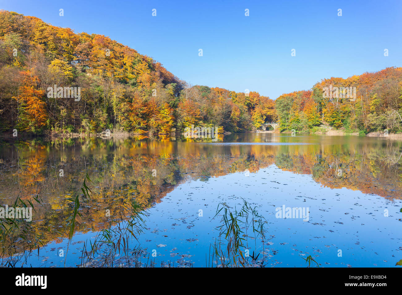 Colorful autumn landscape with reflection in a lake. Stock Photo