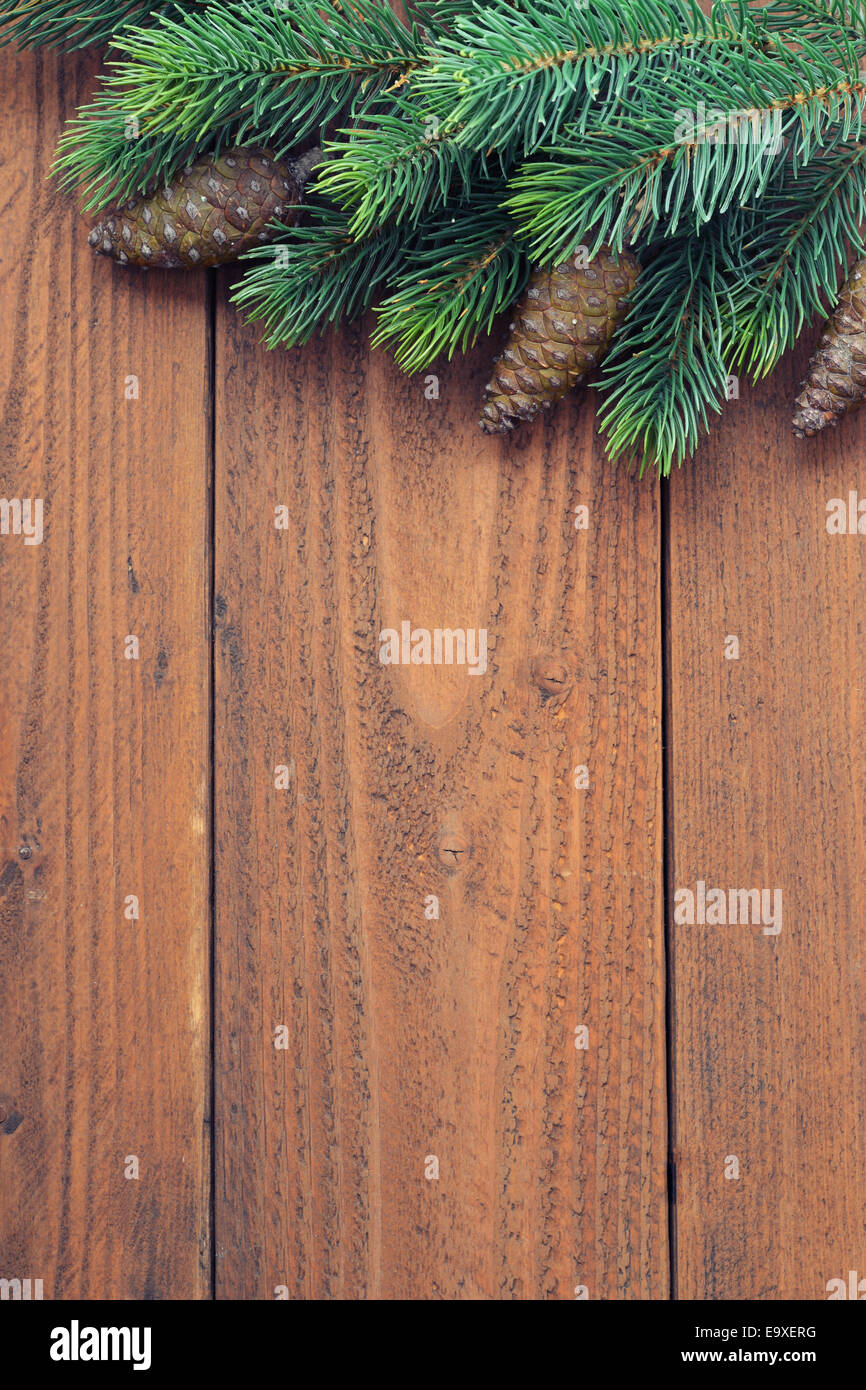 Fir tree branches cones hi-res stock photography and images - Alamy