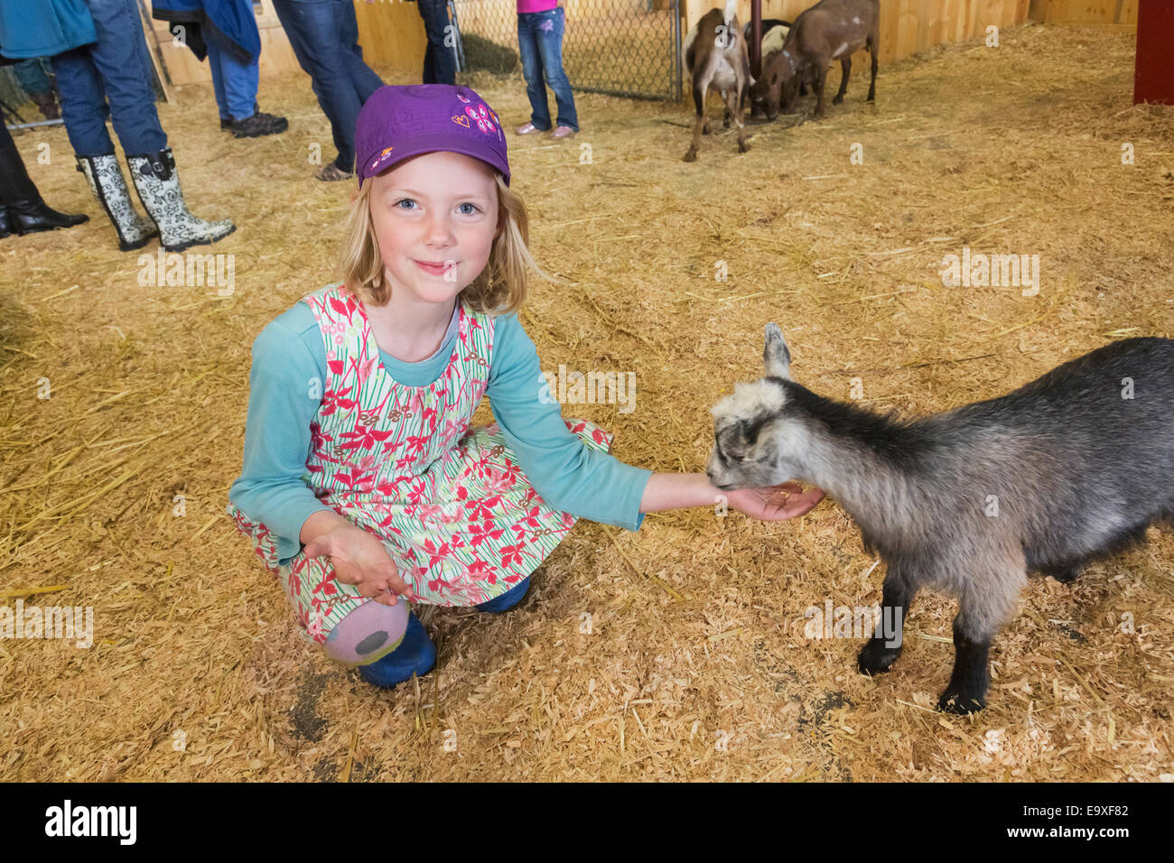 Young girl with goat at petting zoo at the Alaska state fair, Palmer