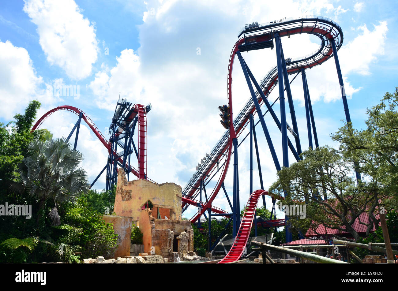 SheiKra roller coaster ride at Busch Gardens, Tampa, Florida, USA Stock  Photo - Alamy