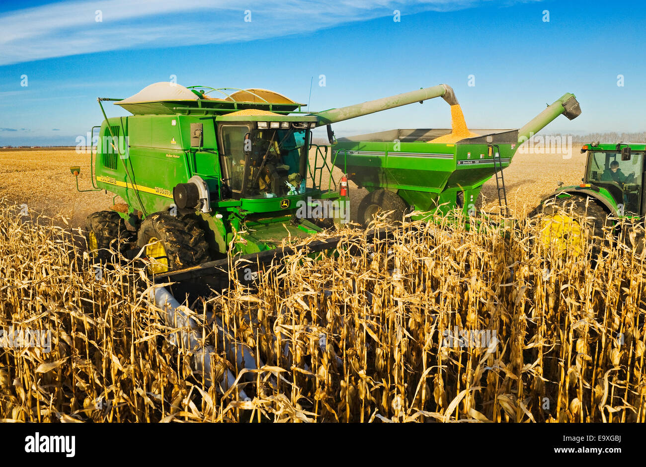 Agriculture A John Deere combine harvests grain corn and unloads into