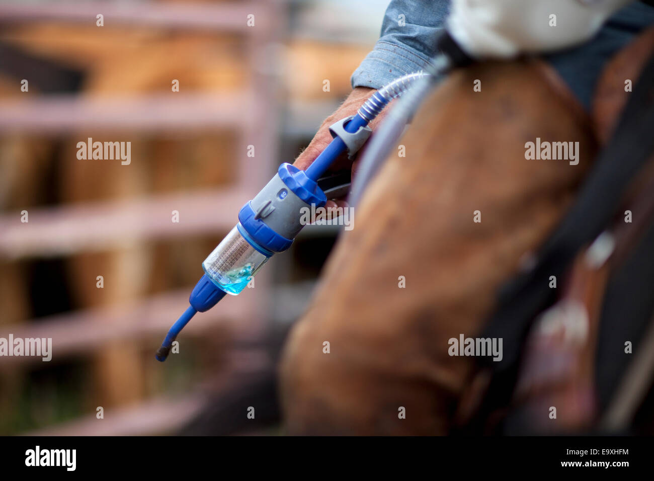 Pour on medicine animals hi-res stock photography and images - Alamy