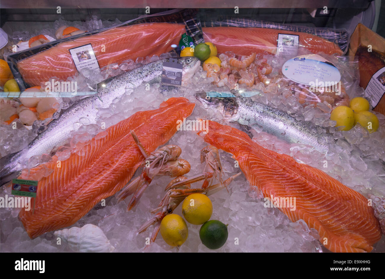 seafood wholesale expo show in Boston MA Stock Photo Alamy