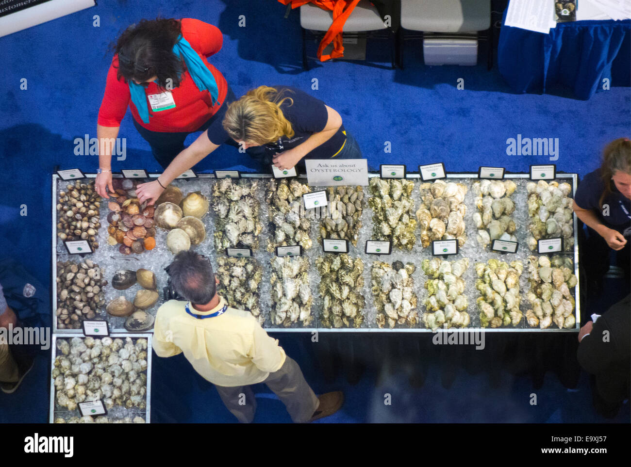 seafood wholesale expo show in Boston MA Stock Photo