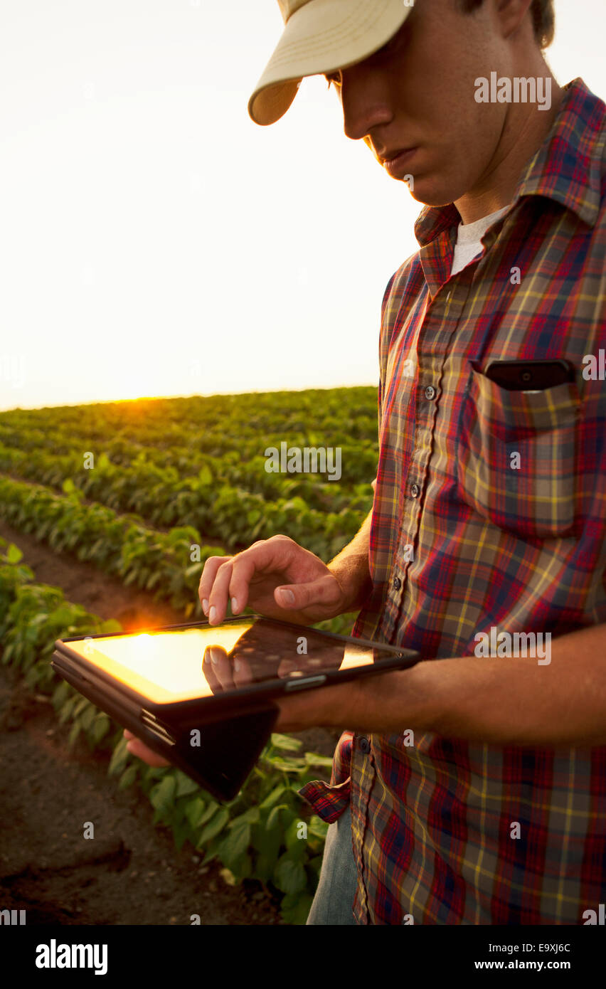 Farmer checks field soybeans growing hi-res stock photography and ...