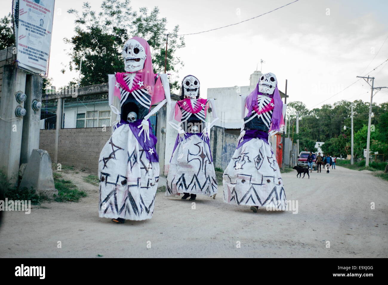 Oaxaca, Mexico. 2nd Nov, 2014. People wearing calavera costumes walk towards the center of town for a comparsa in the pueblo of San Andres Zautla. © Nick St.Oegger/ZUMA Wire/ZUMAPRESS.com/Alamy Live News Stock Photo