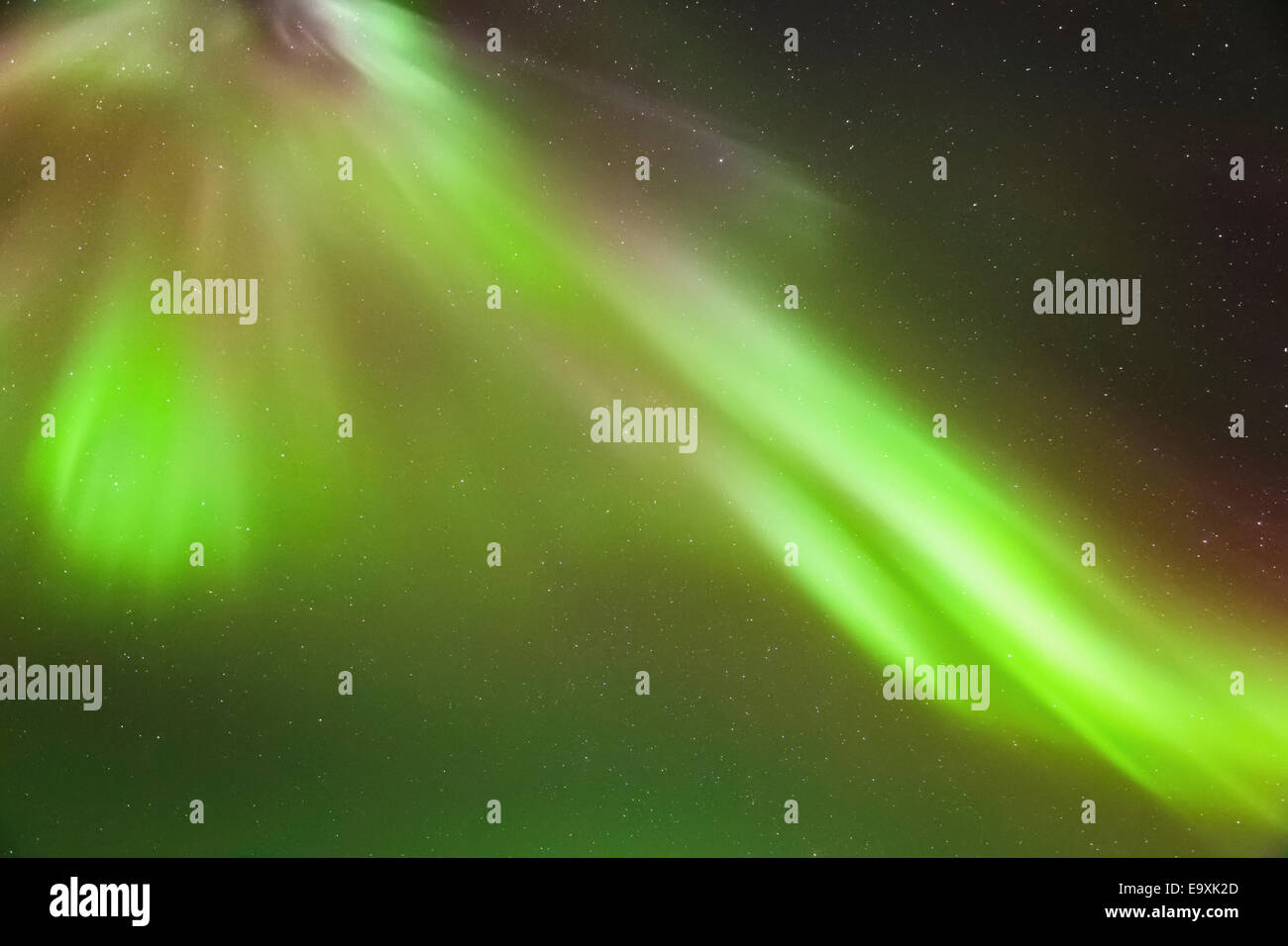 Northern Lights in the sky above the Kenai Penninsula, late fall, Moose