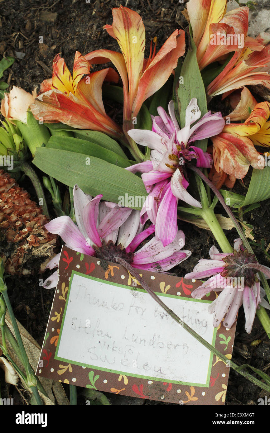 Clear Lake, IOWA, USA. 5th Oct, 2014. Flowers and a note from a fan in Sweden at a memorial at the spot where the plane carrying Buddy Holly, Ritchie Valens and J.P. ''The Big Bopper'' Richardson crashed killing all aboard on Feb. 3, 1959, North of Clear Lake, Iowa. The three young singers were in a single-engine aircraft flying in a light snowstorm in 1959 when the pilot apparently lost control. Holly decided to fly because his tour bus was having heating problems. Fans from all over the world come to the site every year. © Kevin E. Schmidt/ZUMA Wire/Alamy Live News Stock Photo