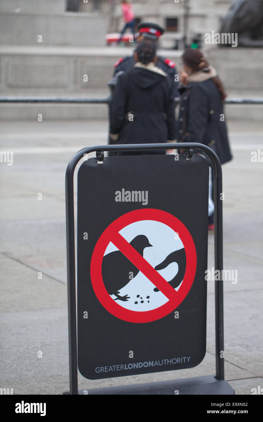 Trafalgar Square. London. England. Sign signifing no, to feeding feral pigeons (Columba livia domest). Stock Photo