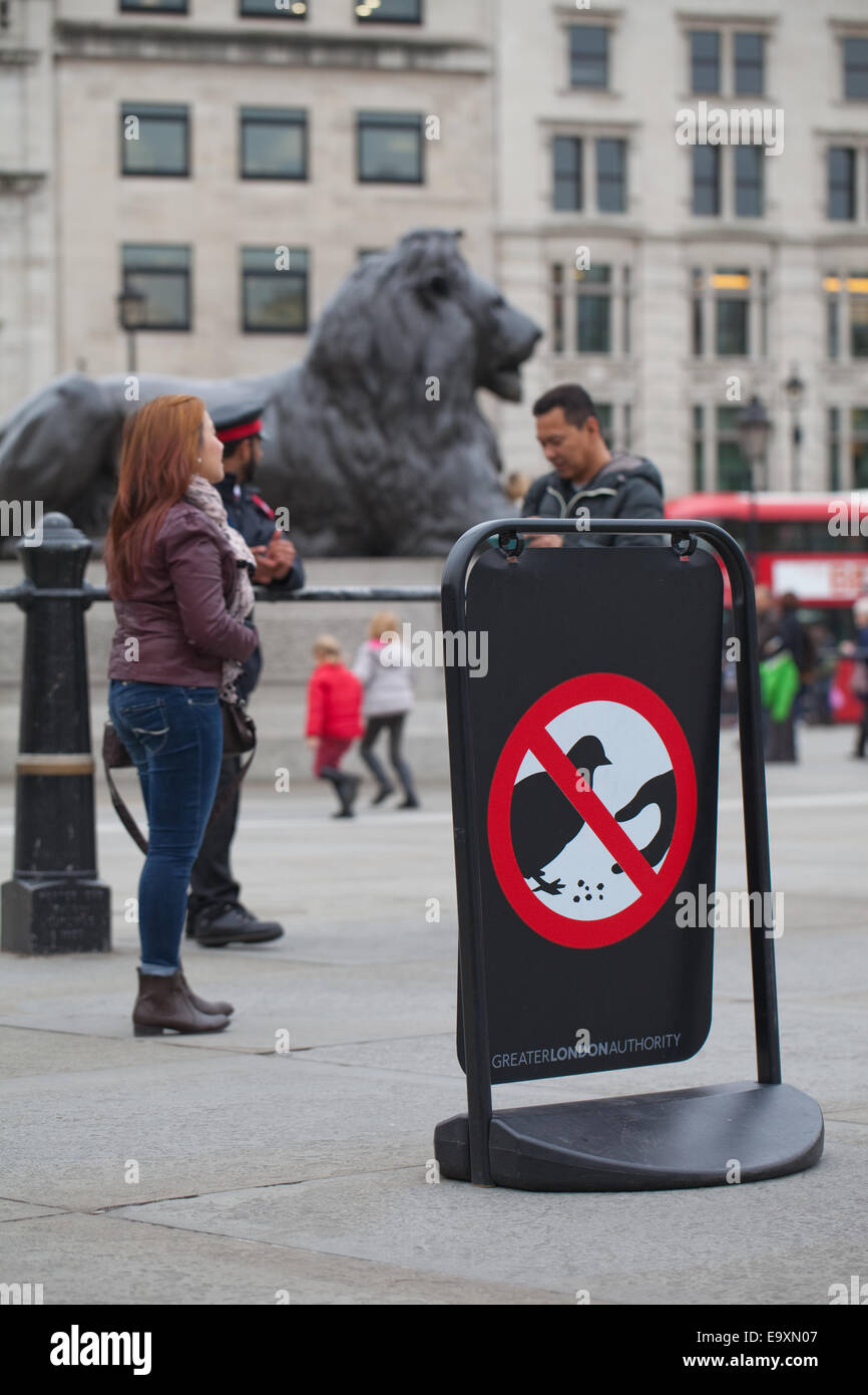 Trafalgar Square. London. England. Sign signifing no, to feeding feral pigeons (Columba livia domest). 'Landseer Lion' behind. Stock Photo