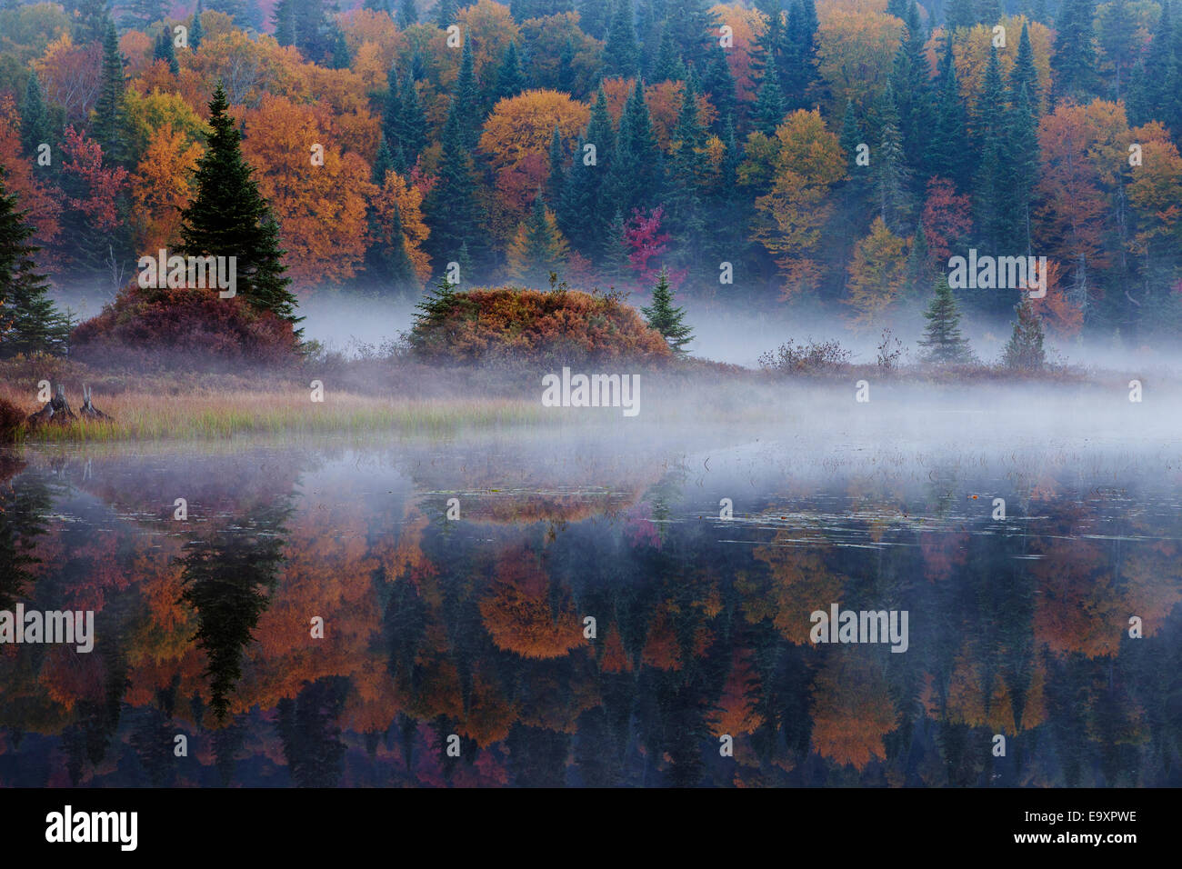Fall in canada hi-res stock photography and images - Alamy
