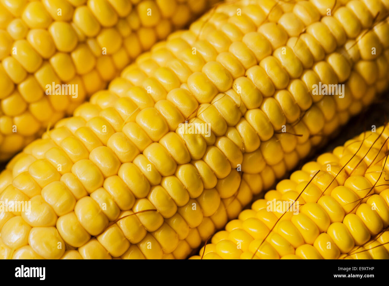 Ears of fresh corn. Close up of sweet corn Stock Photo Alamy
