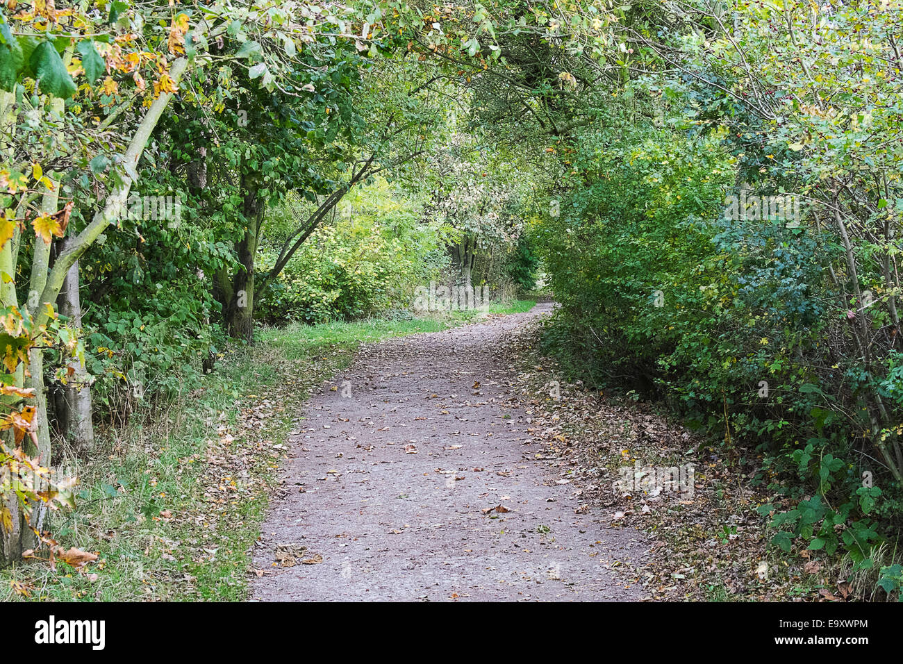 Gravel walk hires stock photography and images Alamy