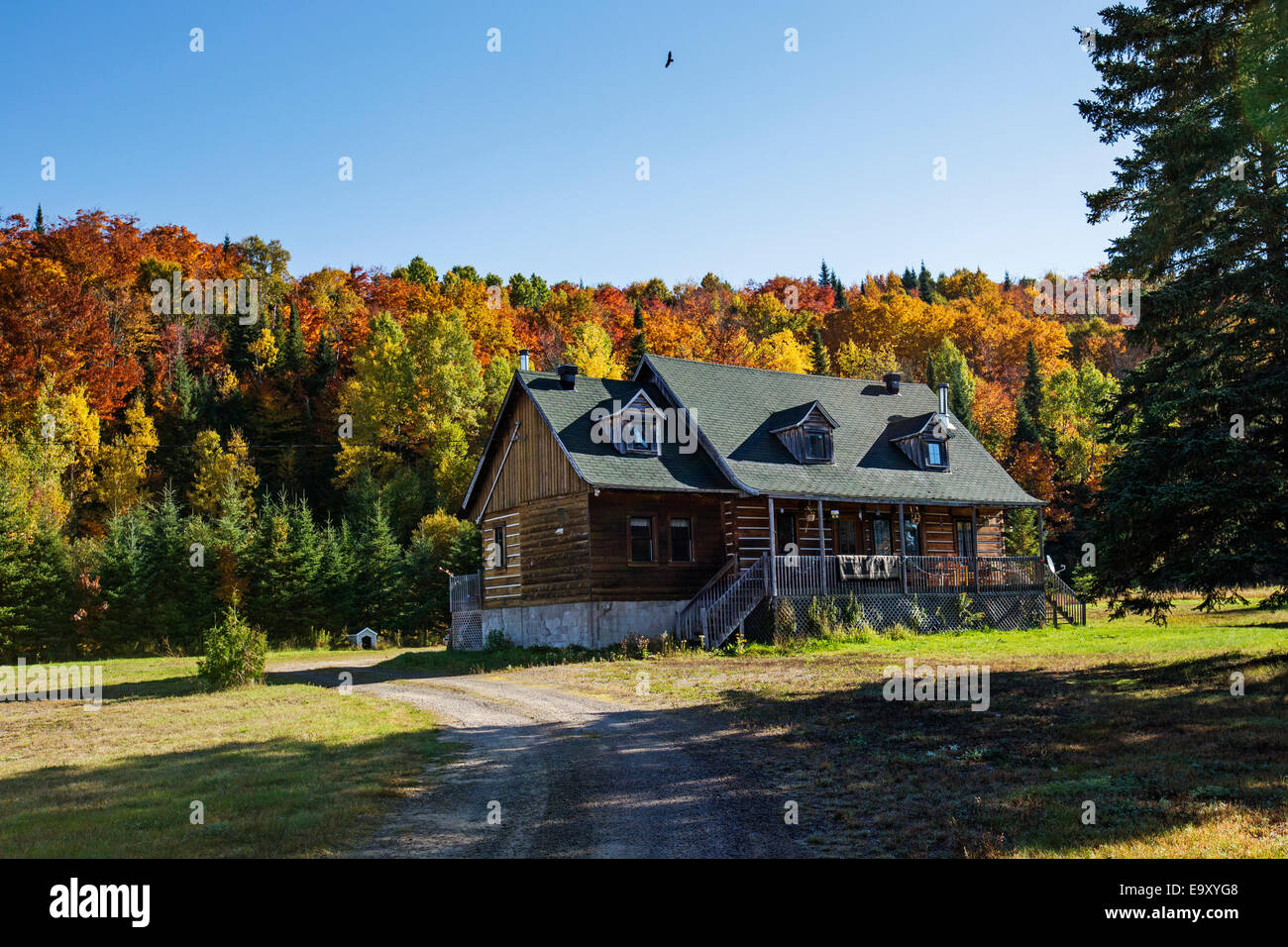 Traditional Canadian house in autumn QuebecCanada Stock Photo Alamy