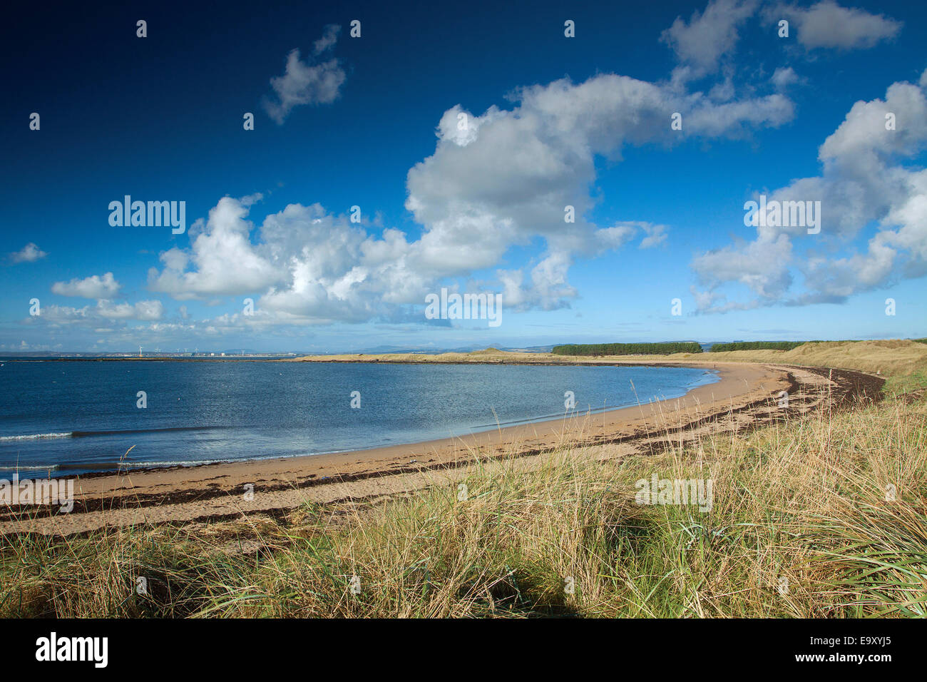 Shell Bay near Elie on the Fife Coastal Path, Fife Stock Photo Alamy