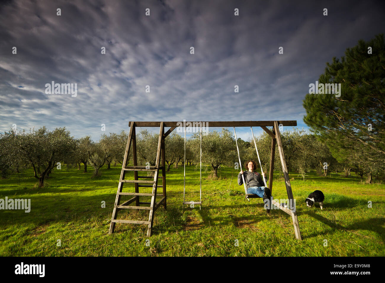 Girl swinging on a wooden swing in front of an olive grove, Tuscany, Italy Stock Photo