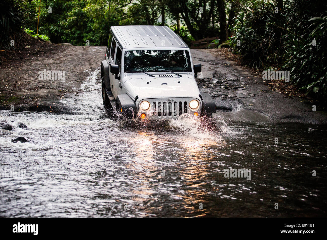 Jeep crossing a stream in Waipio Valley, Big Island, Hawaii, United