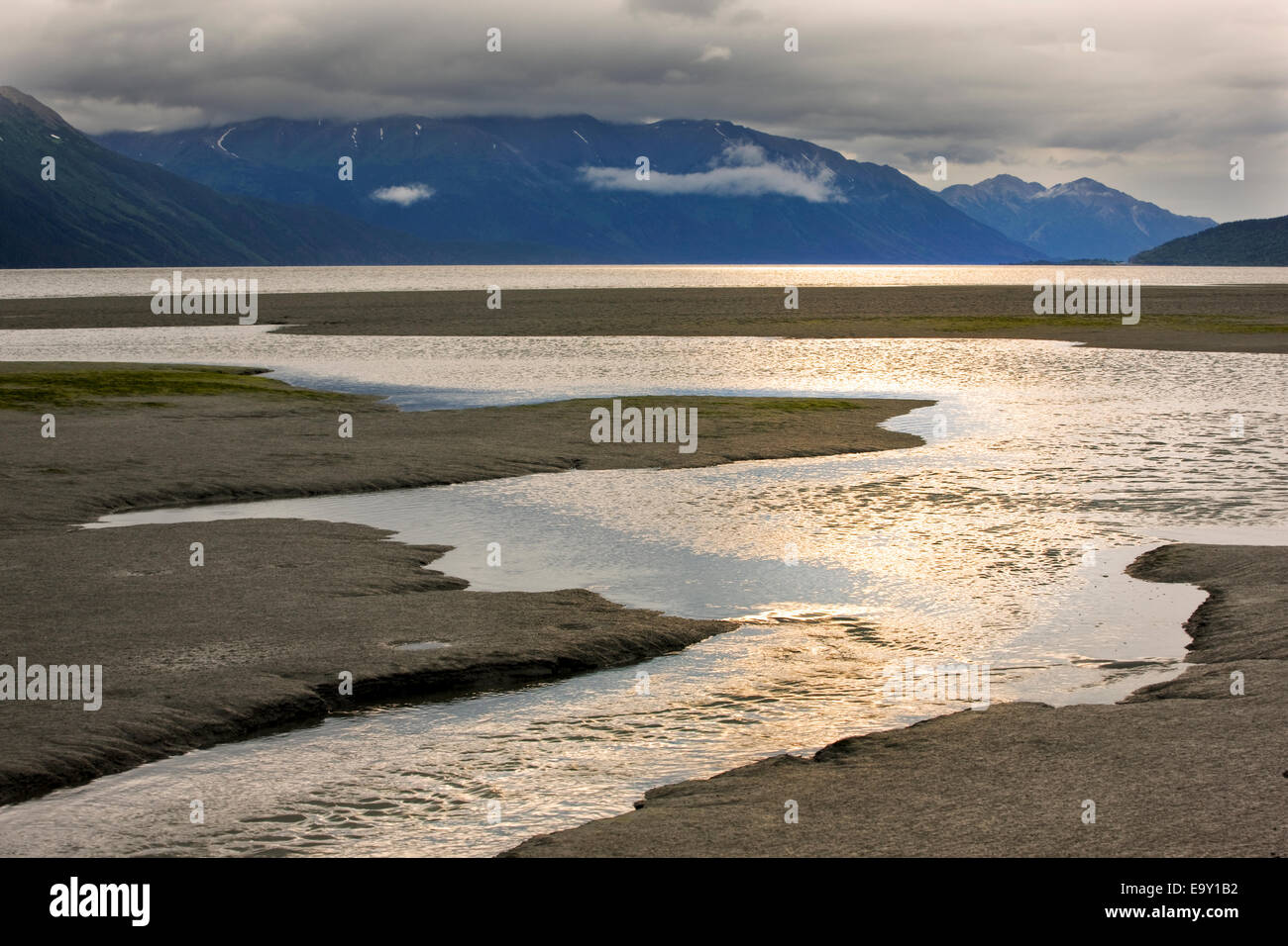 Placer River flowing into Turnagain Arm, Portage, Chugach State Park, Alaska, USA Stock Photo