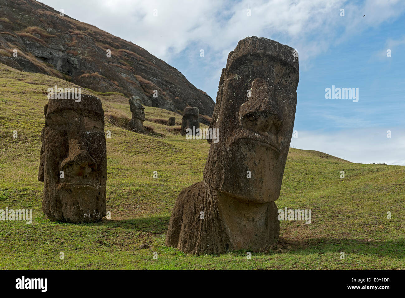 Group of Moai, the bodies are buried in the ground, only the heads are visible, Rano Raraku, Easter Island, Chile Stock Photo