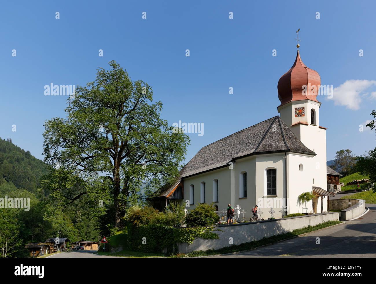 Filial Church of St. Catherine and a Wych elm or Scots elm in Marul, community of Raggal, Großes Walsertal, Vorarlberg, Austria Stock Photo