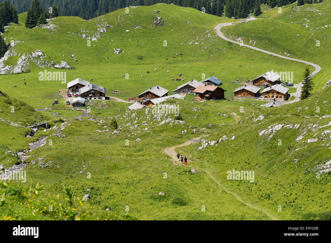 Laguz Alps, Großes Walsertal Biosphere Reserve, Vorarlberg, Austria Stock Photo