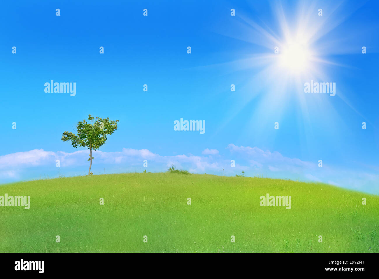 Lonely tree in the field with green grass, blue sky and clouds Stock ...