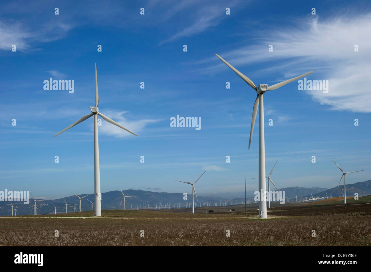 wind wind turbines farm renewable energy eco conservation propellor power Stock Photo