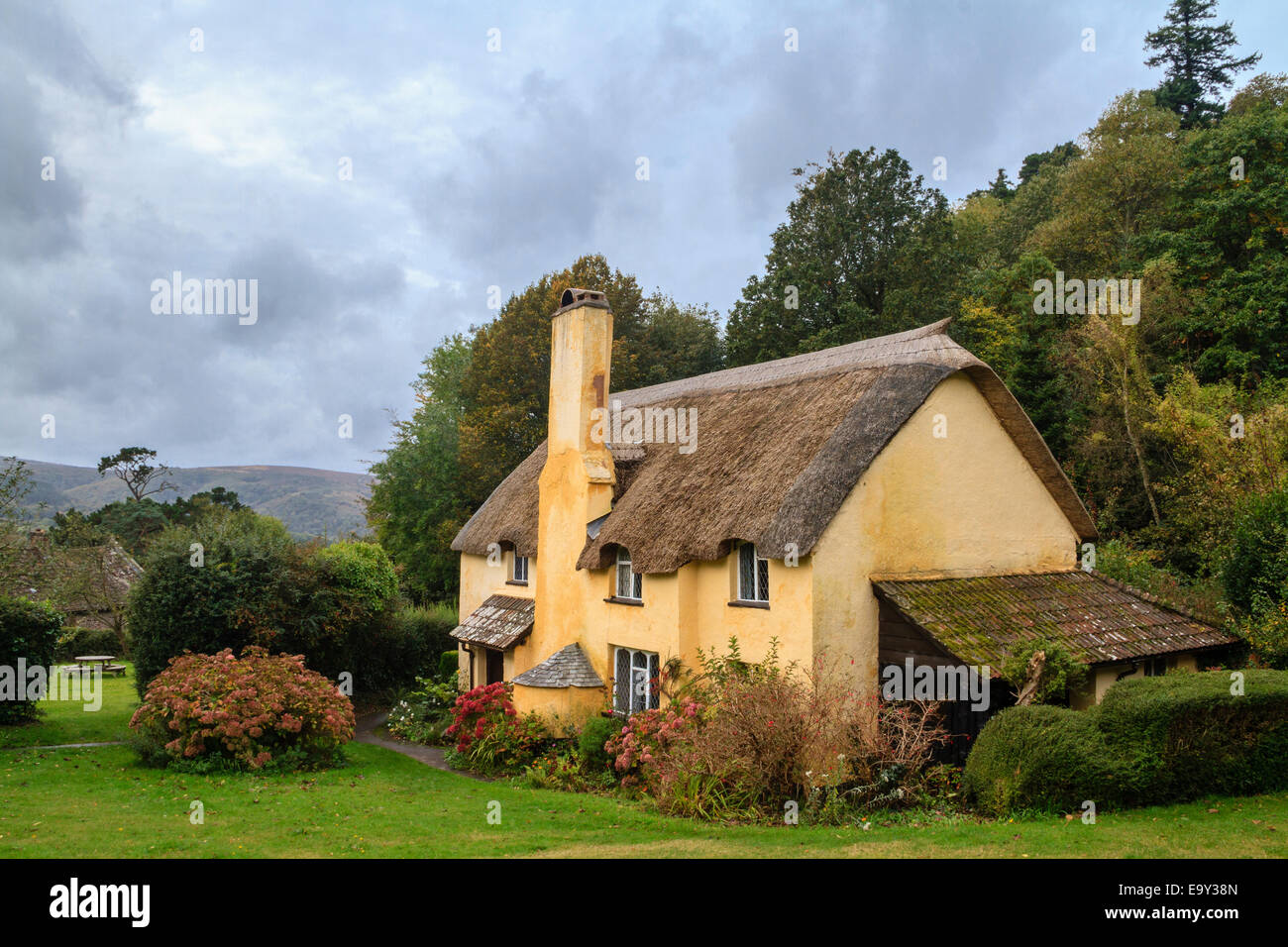 Thatched roof cottage in Selworthy village Somerset Stock Photo