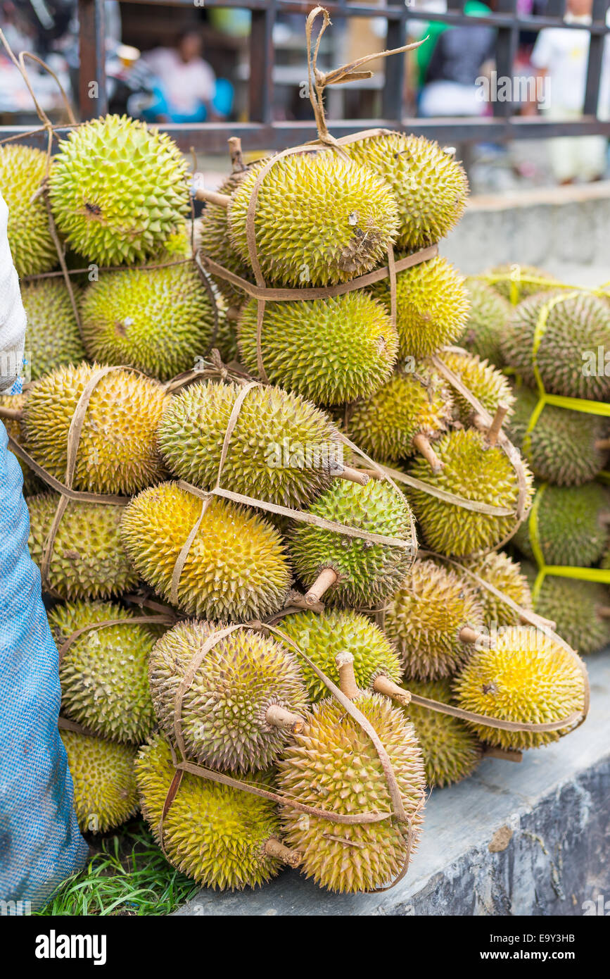 Jackfruit durian hires stock photography and images Alamy
