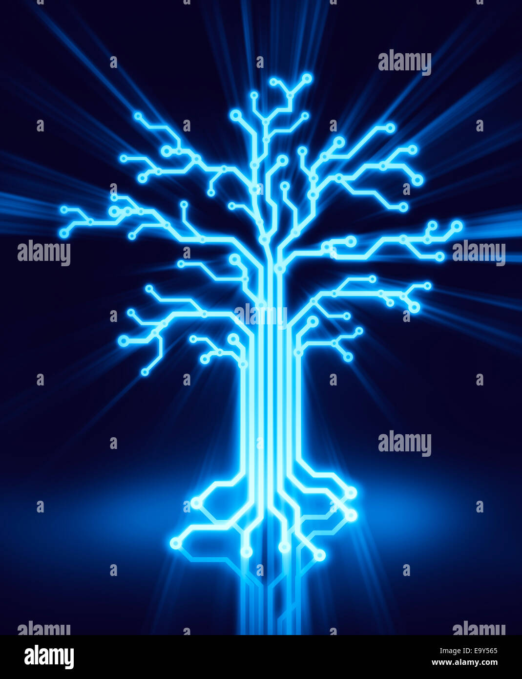 Digital tree made of glowing blue circuits, conceptual illustration on black background Stock Photo