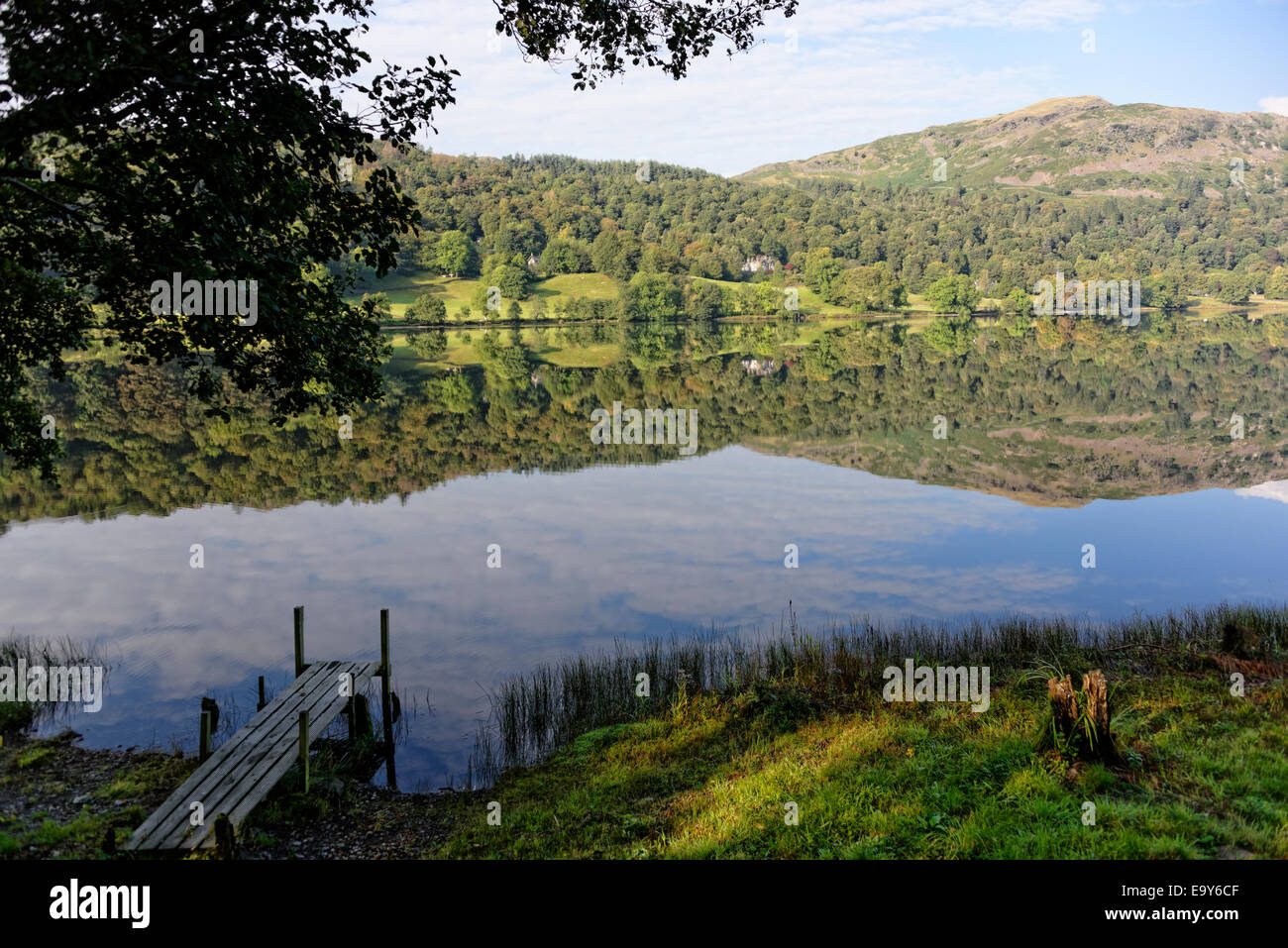 Morning clouds, and trees, reflected in Rydal Water, Lake District, Cumbria, England Stock Photo