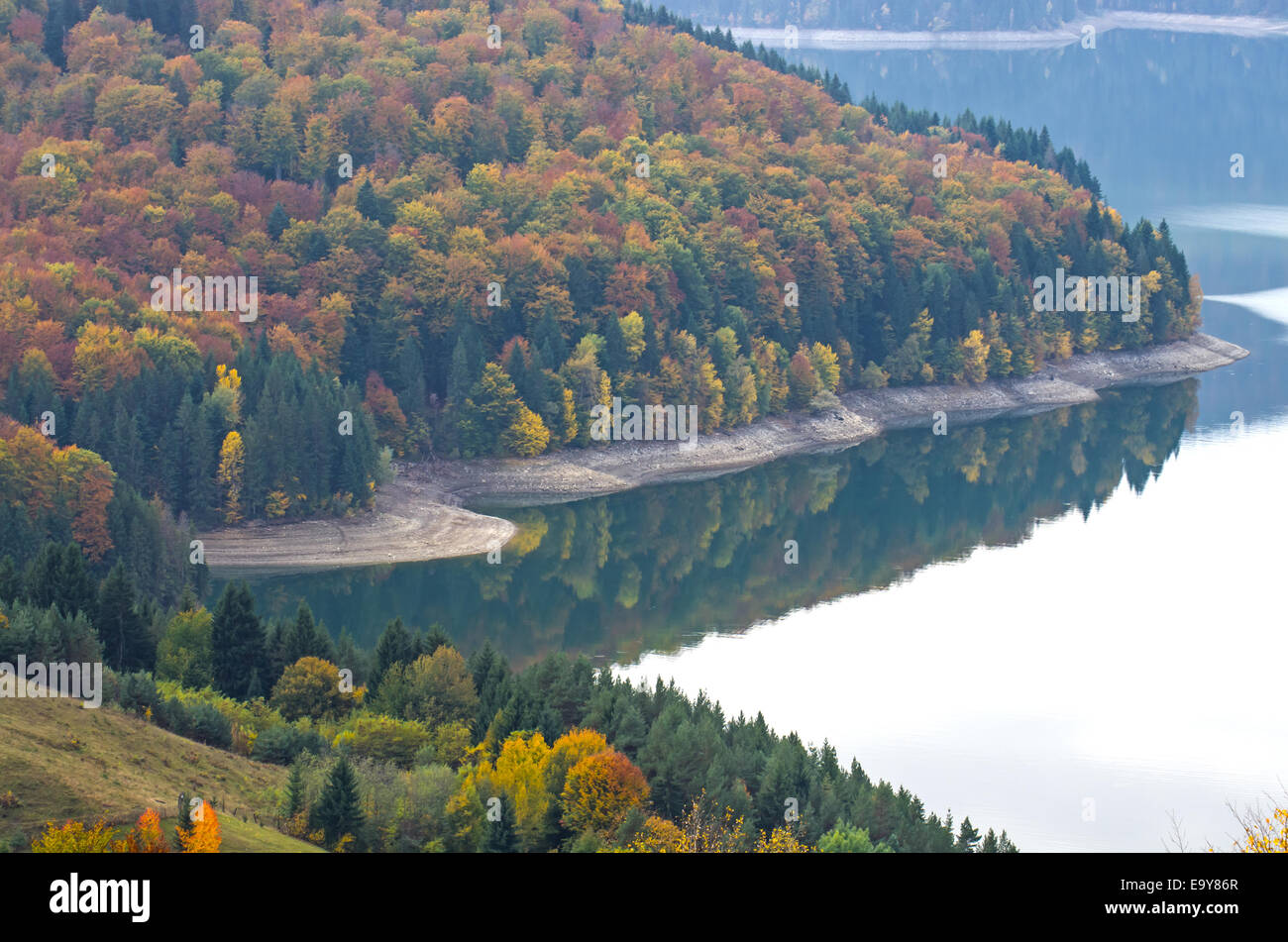 Autumn forest reflecting in the water Stock Photo - Alamy